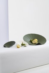 Coleção Wagasa - Escultura Funcional