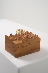 DPT014, Caixa Escultura Araucária