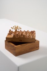 DPT014, Caixa Escultura Araucária