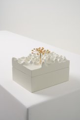 DPT014, Caixa Escultura Araucária