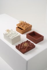 DPT014, Caixa Escultura Araucária