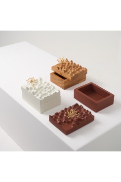 DPT014, Caixa Escultura Araucária