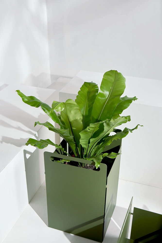 Coleção Joy, Cesto