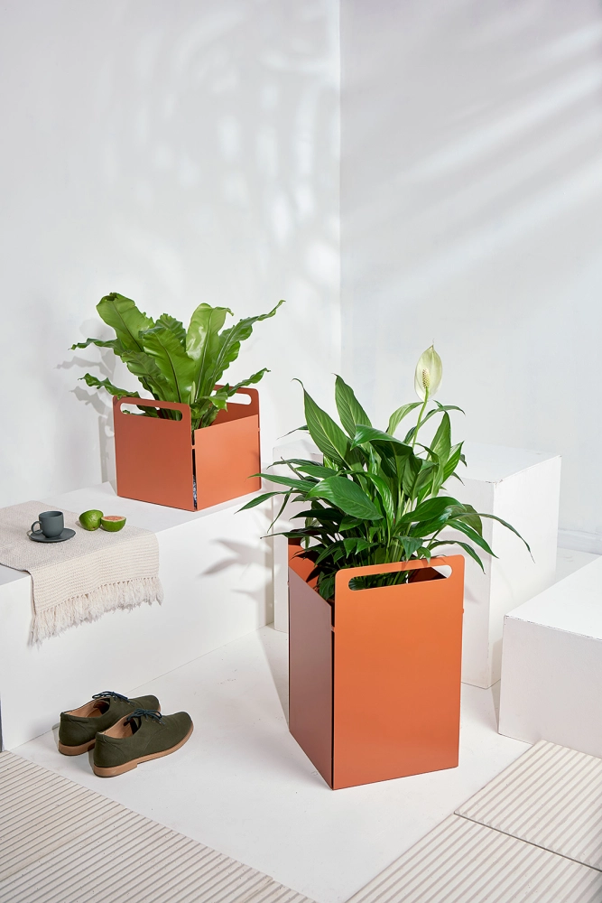 Coleção Joy, Cesto