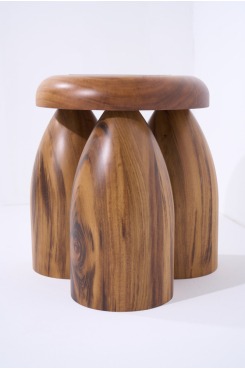 Coleção Nei, Banco