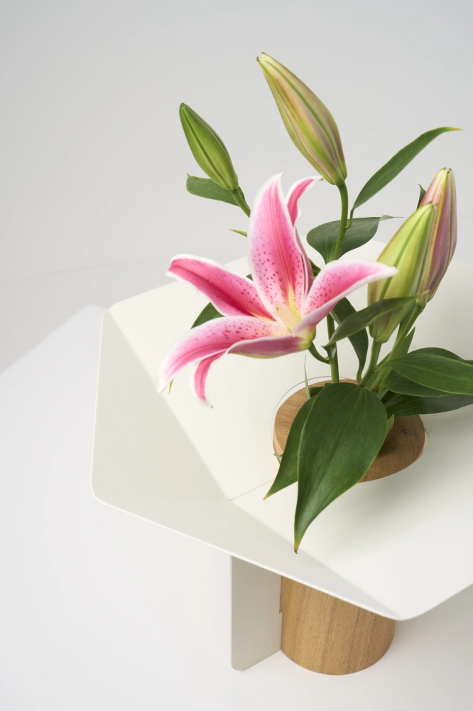 Coleção Vela, Vasos Maxi (Und.) / Por Mário Alessiani, Itália