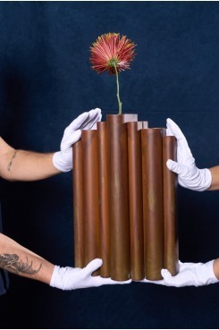 Coleção Vera, Vasos