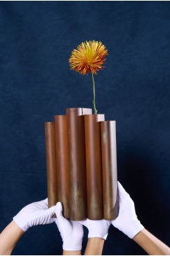 Coleção Vera, Vasos