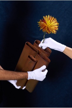 Coleção Vera, Vasos