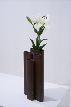 Coleção Vera, Vasos