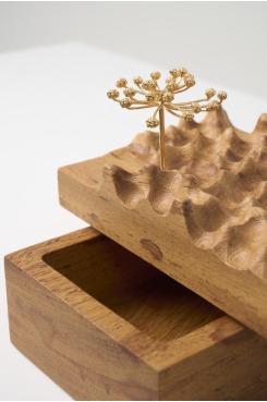 DPT014, Caixa Escultura Araucária